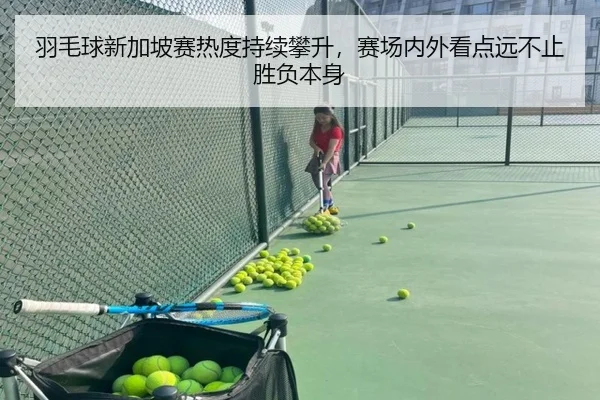 羽毛球新加坡赛热度持续攀升，赛场内外看点远不止胜负本身